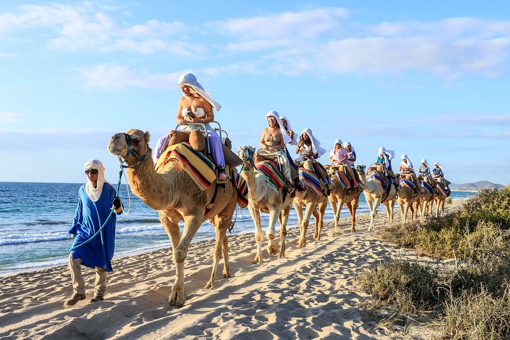Tour en Camellos, conoce Los Cabos de la mano de los expertos.