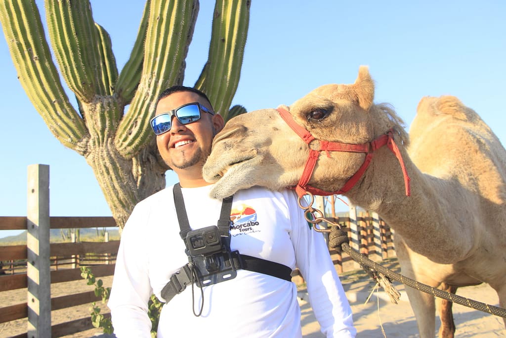 Tour de Camellos en Los Cabos.
