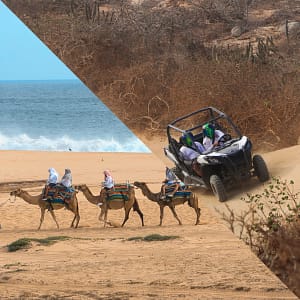 Tour-combo-razer-y-camellos Tour en combo Razer y camellos Los Cabos