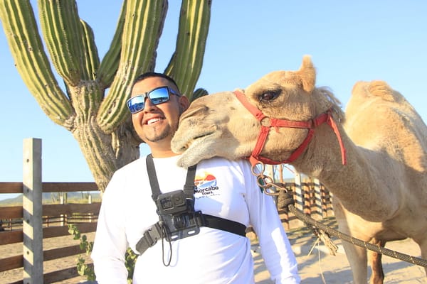 Tour de camellos en Los Cabos Tour de Camellos en Los Cabos.