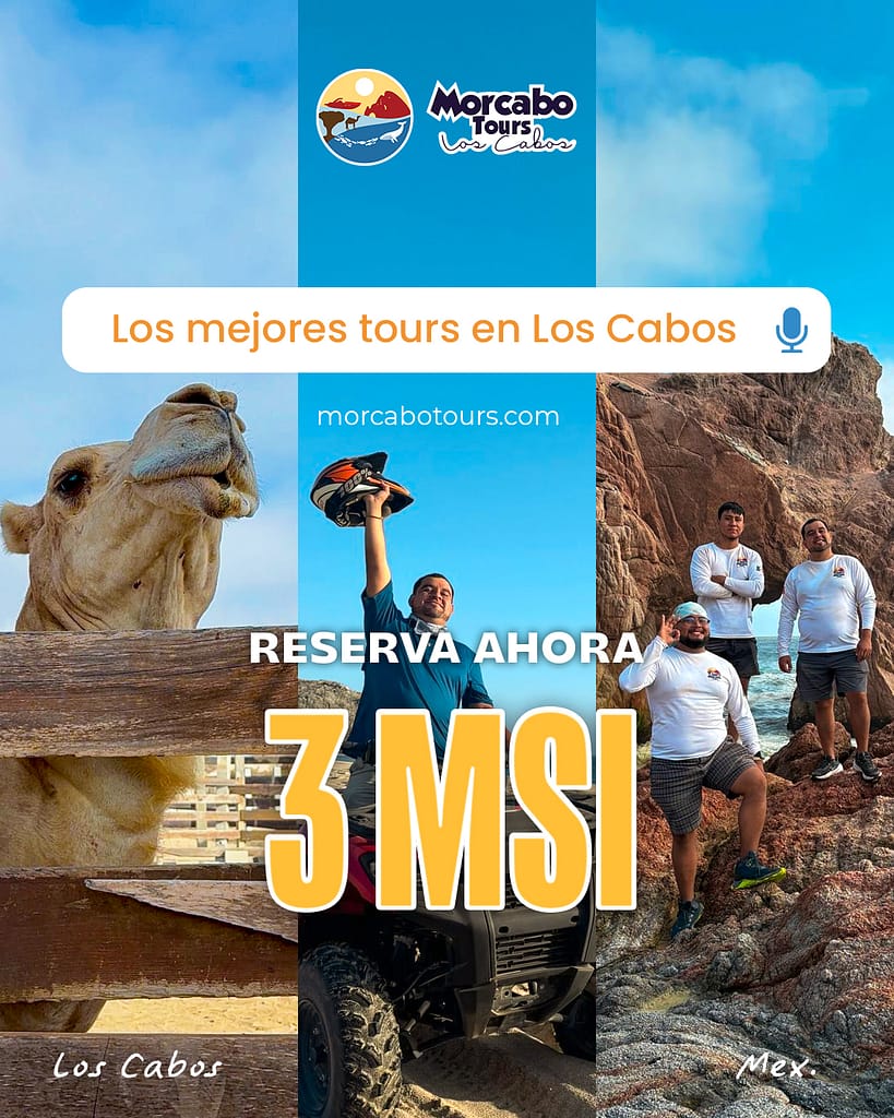 Reserva tours en Los Cabos