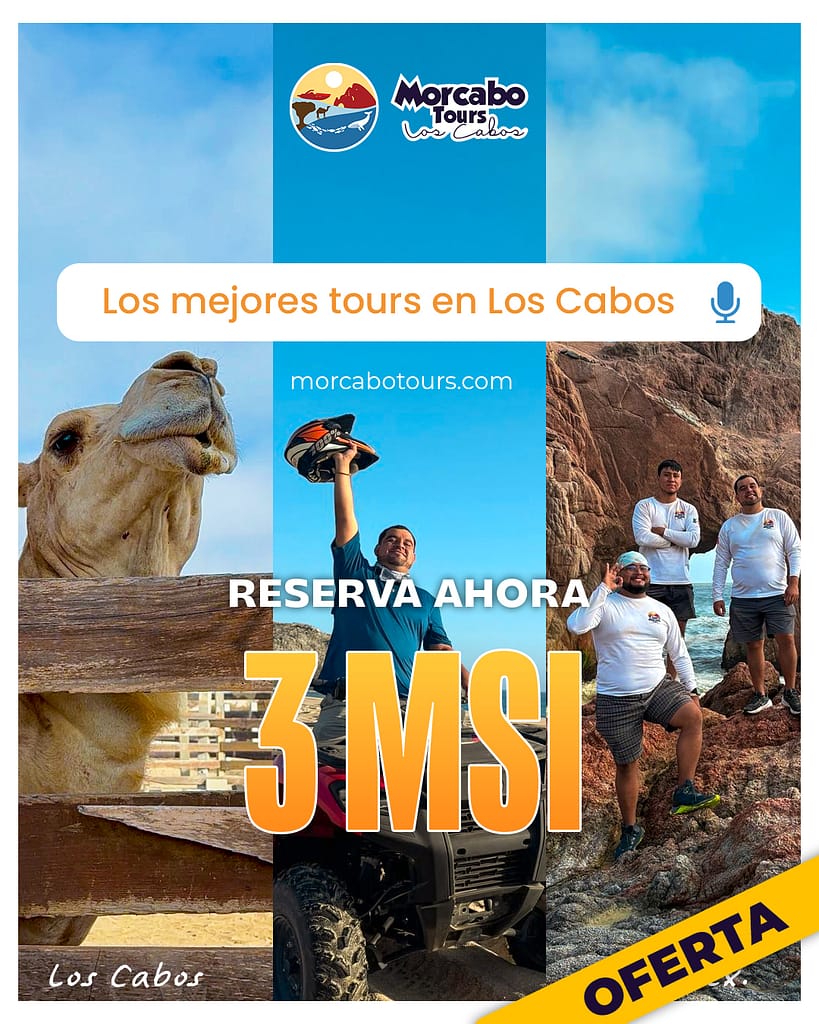 promoción-tours-en-los-cabos-meses-sin-intereses-