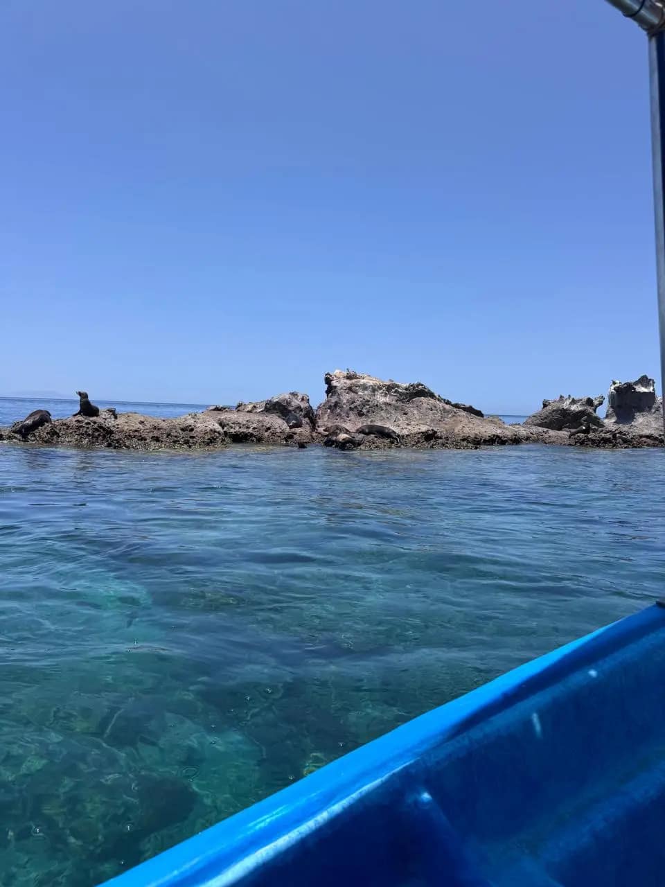 lobera isla espiritu santo Tour Isla Espirítu Santo