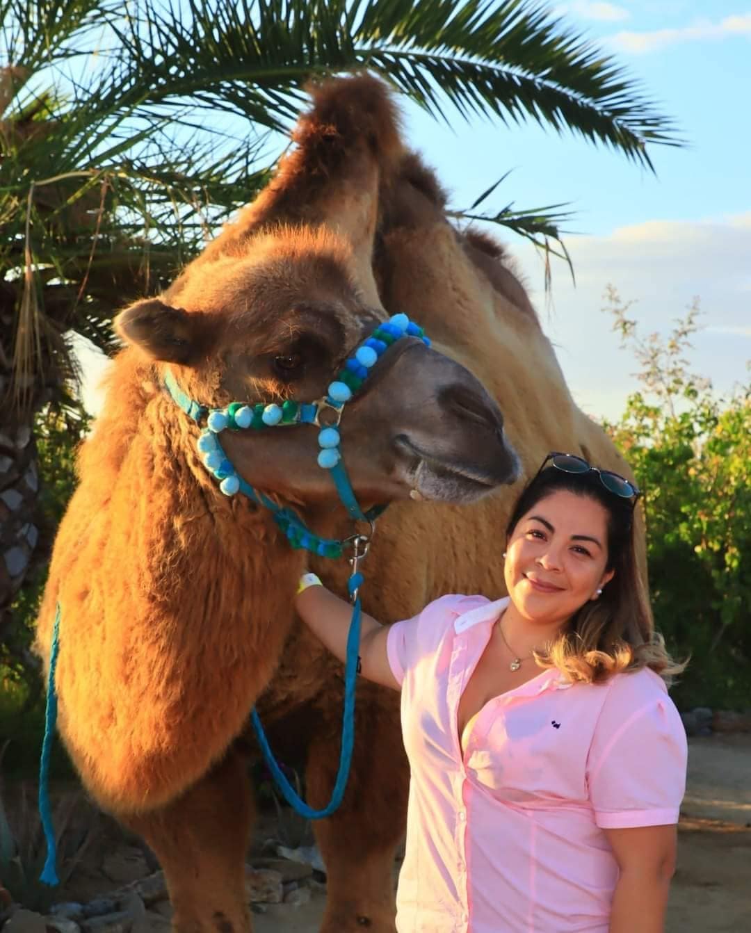 Tours enLos Cabos