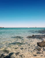 Playa-balandra Los mejores tours en Los Cabos Balandra