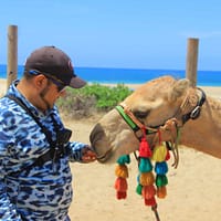 Tour en camellos en Los Cabos