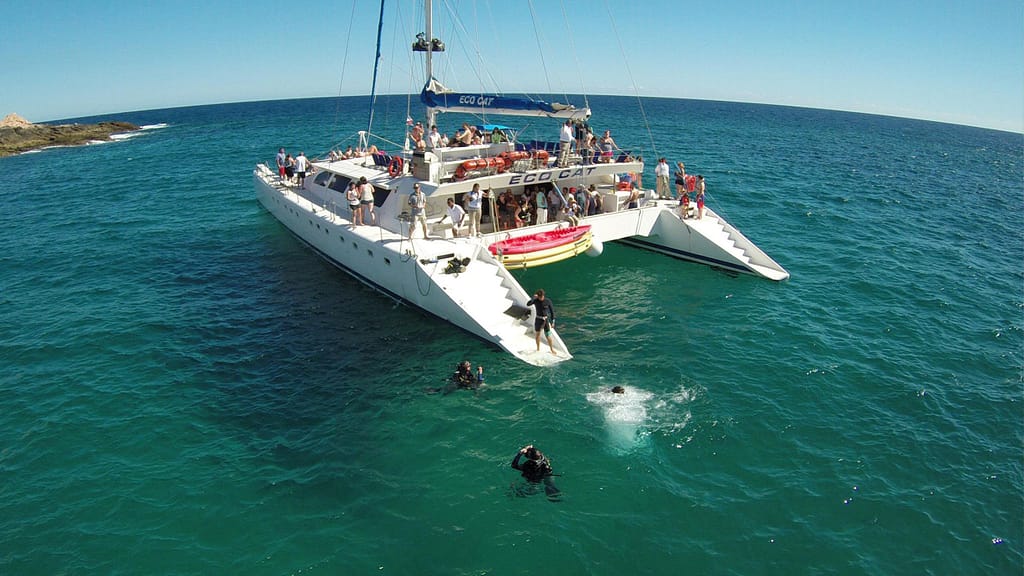 Snorkel en catamarán Los Cabos