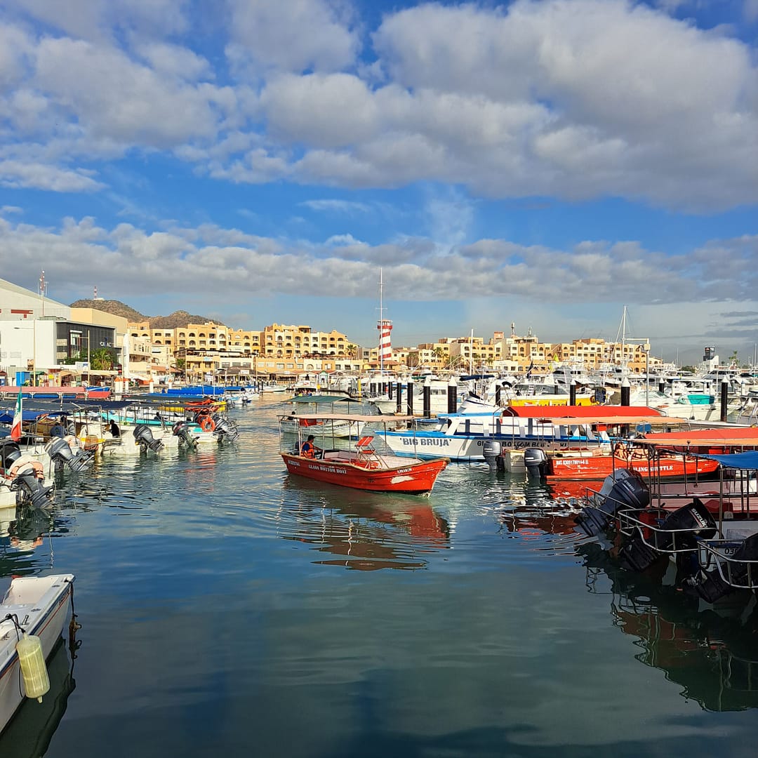 Tours en Los Cabos, marina de Los Cabos.