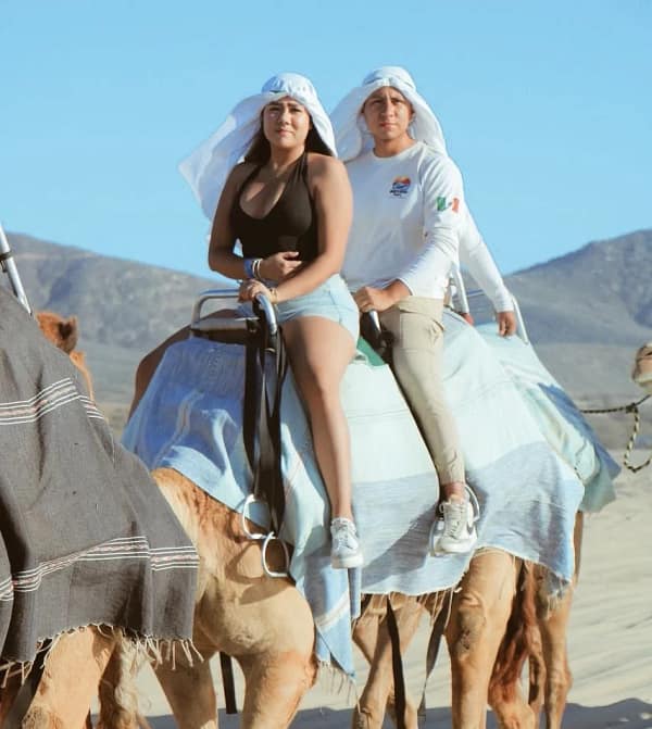 Tour en camello en Los Cabos