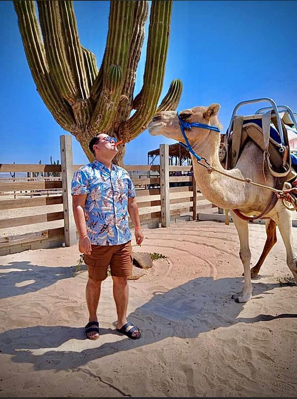 ¿Para quién se recomienda el tour en camello en Los Cabos? Este tour en camello en Los Cabos es perfecto para parejas, familias con niños mayores de 5 años y grupos de amigos que buscan una experiencia diferente y divertida. También es una excelente opción si te interesa la fotografía o aprender sobre el ecosistema local. 📷🌵