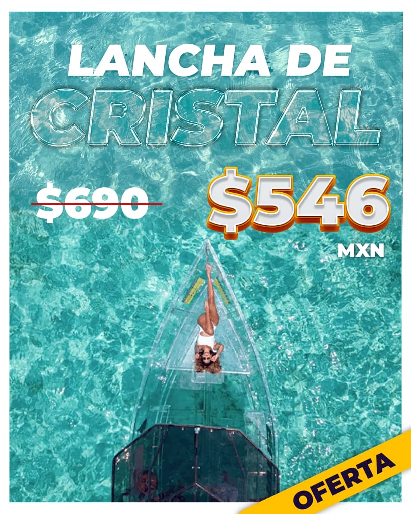 Los mejores tours en Los Cabos Lancha de cristal